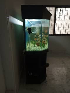 big size fish aquarium 0