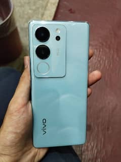 vivo v29 5g 12/256