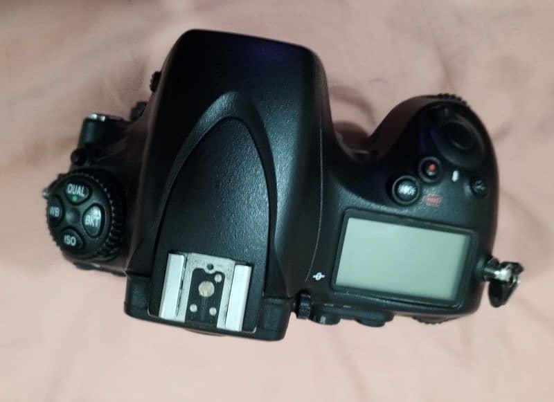 Nikon D800 36 mega pixel Condion 10 by 8 3