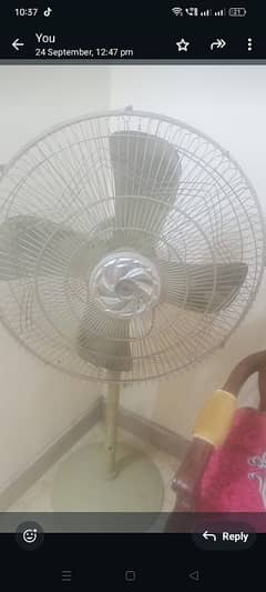 Fan