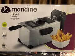 Electric Fryer