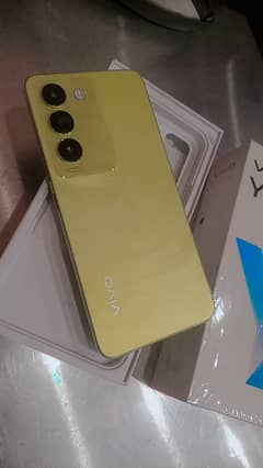 Vivo Y 100 For Sale