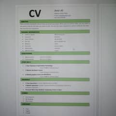 Professional CV maker