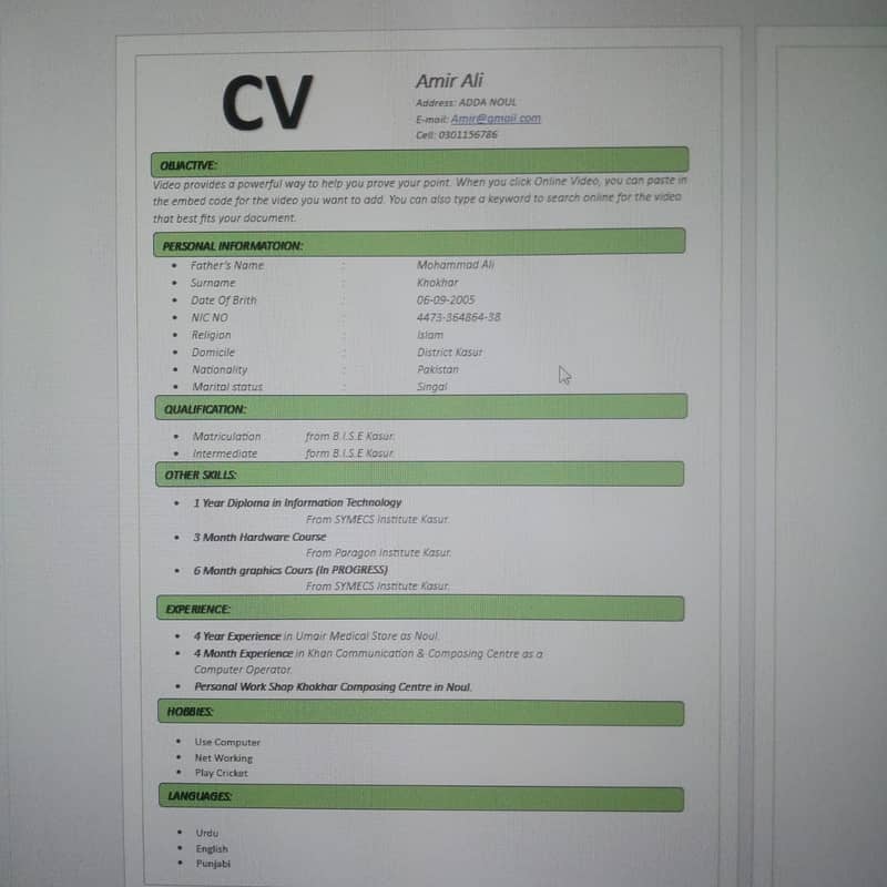 Professional CV maker 0