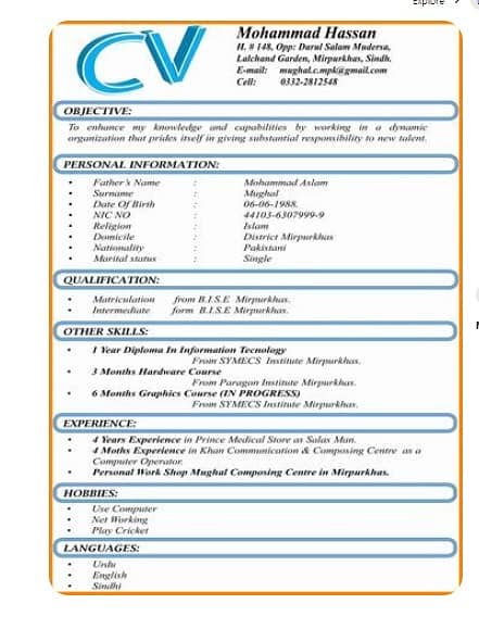 Professional CV maker 2