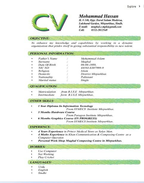 Professional CV maker 3