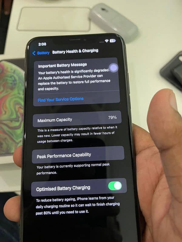 Xs Max 256 GB 9
