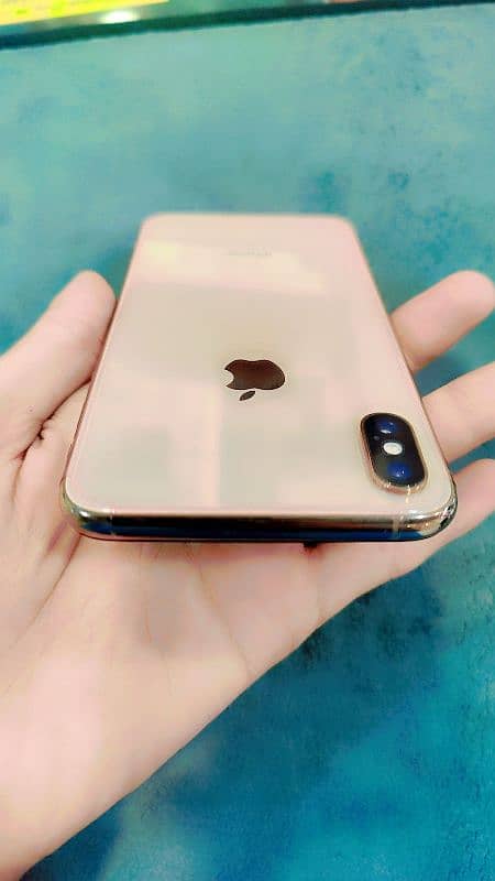 Xs max 256gb 3