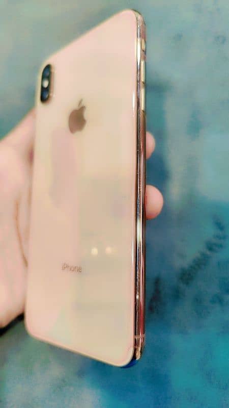 Xs max 256gb 4