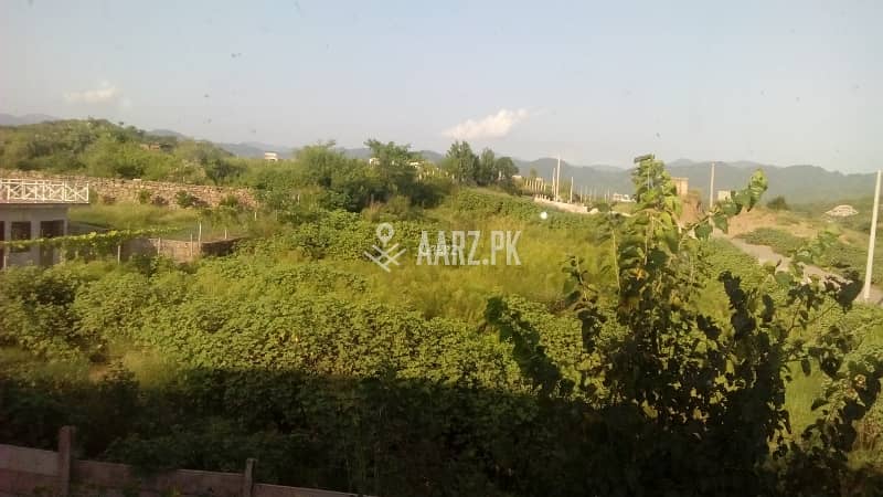 23 Kanal Farm House Available For Sale. . . Also 5,10,8, Kanal Available , 2