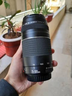 Canon 75-300mm Zoom Lens