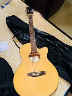 Acoustic guitar