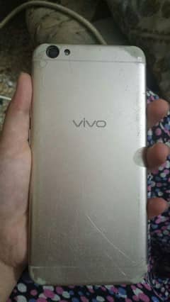 vivo