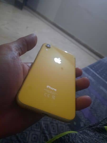 Iphone XR 128 gb pta approved with box water pack No fault 4