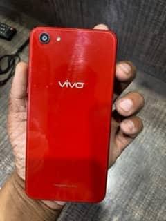 VIVO