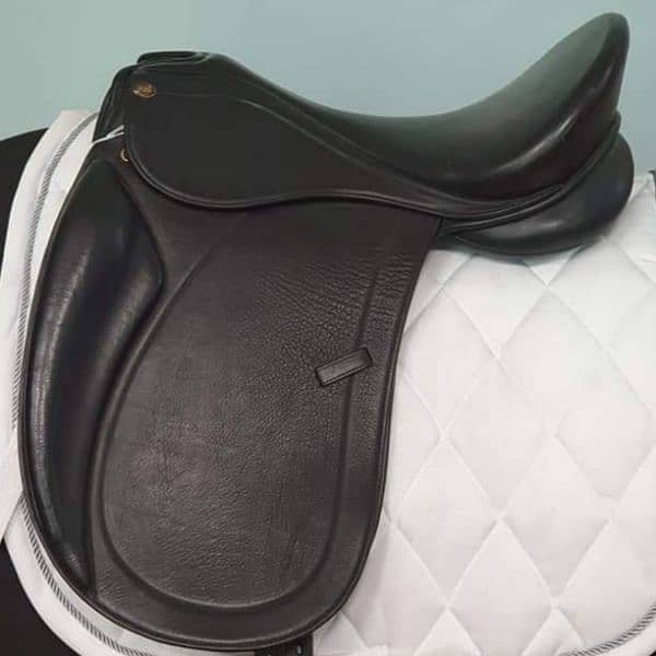 Horse Saddle 3