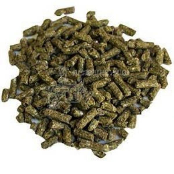 Rabbits Pallet Feed #Feed For Rabbits Growth #Fanchy Rabbits Feed 1