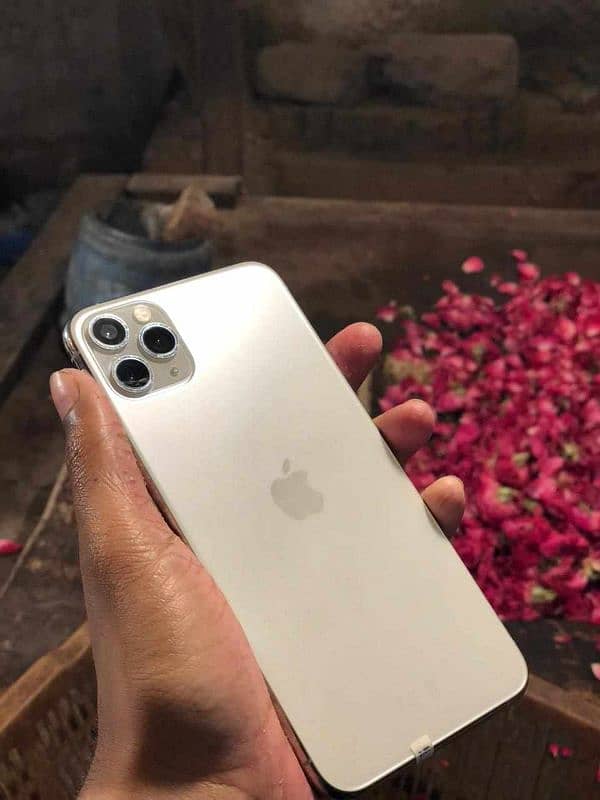 iphone 11 pro max pta approved 1