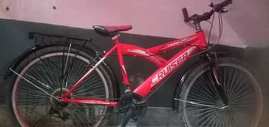 Cruiser bicycle, urgent sale, Whatsapp number, 03136847691