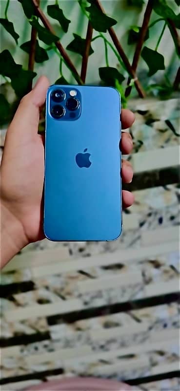 Iphone 12 pro  128 gb non pta add read 7