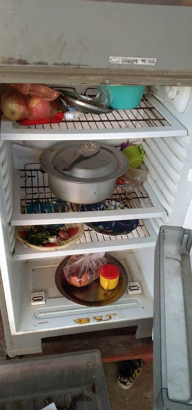 pel refrigerator 2