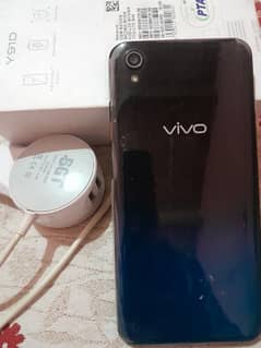 vivo