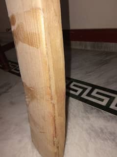 CA Pro Somo bat for Sale