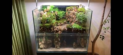 Fish Aquarium For sale 0