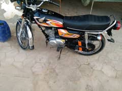 Honda 125 Model 2022