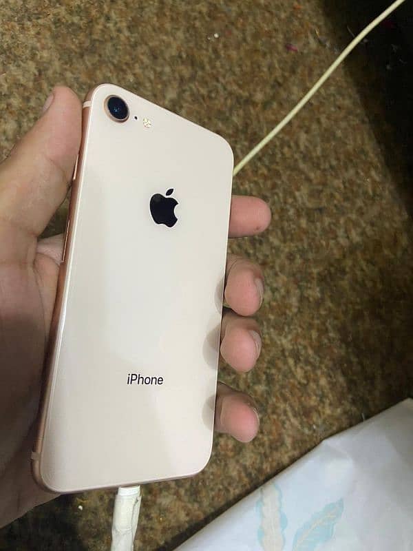 iphone 8 64gb non PTA 1