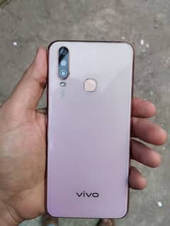 Vivo