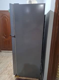 haire fridge