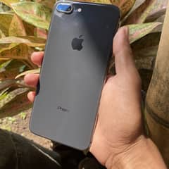 I phone 8plus /64 gb /bettry 100 /penal Original /nonpta wat0355318729