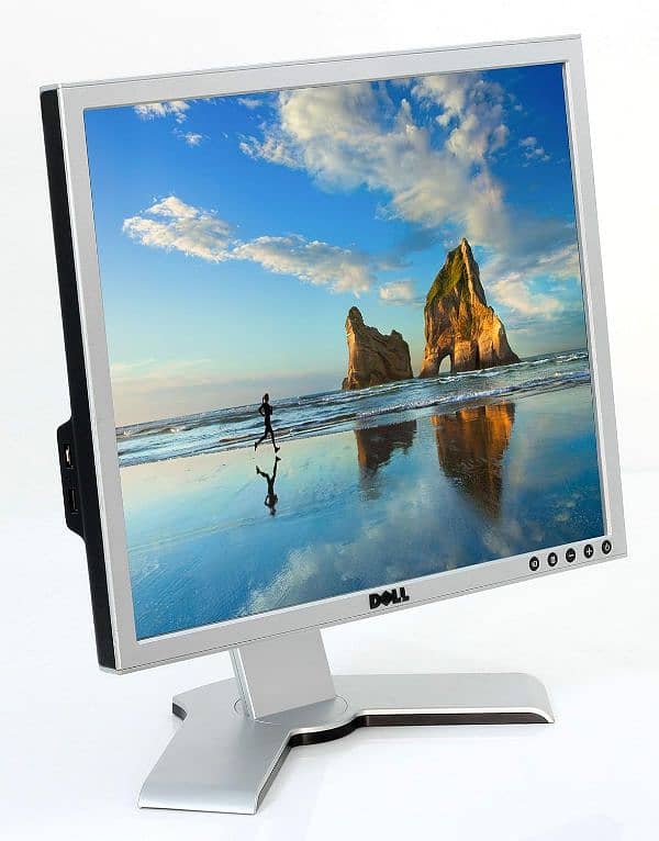 19" Dell LED Monitor 4