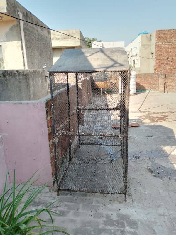 Birds Cage available Specially For All birds . 5