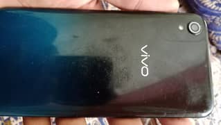 vivo