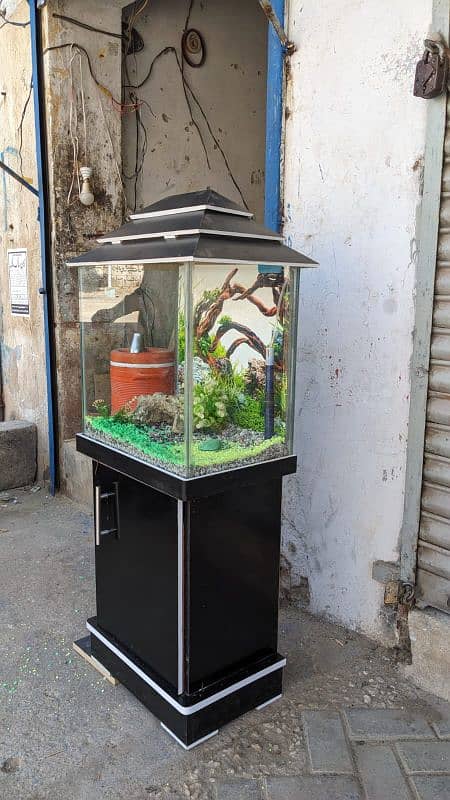 aquarium with all accessories 3