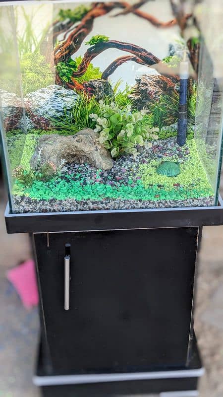 aquarium with all accessories 4