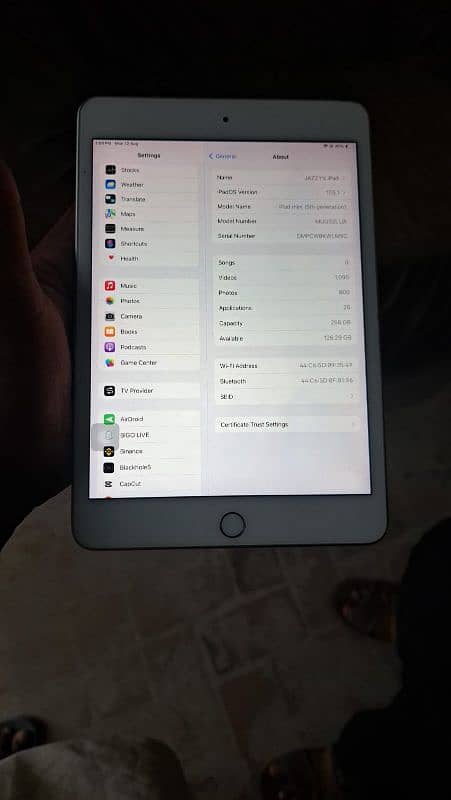 Ipad mini 5 ( 256 GB ) 1