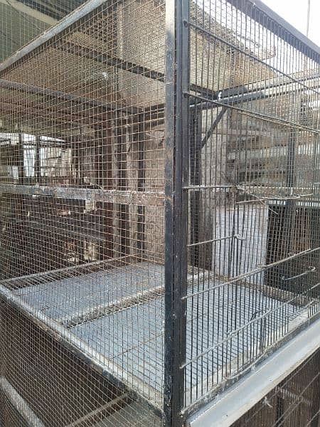 3 portions cage 3