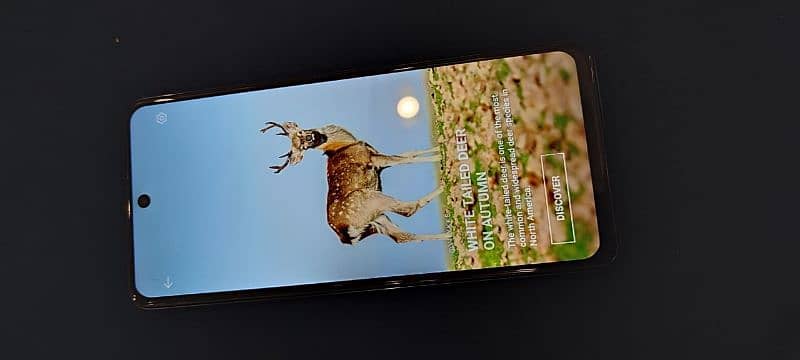 Infinixhot40pro ha 10/10 16/256 108 mp camera 4