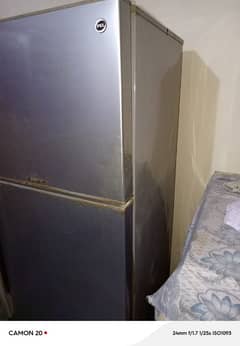 PEL Full size fridge