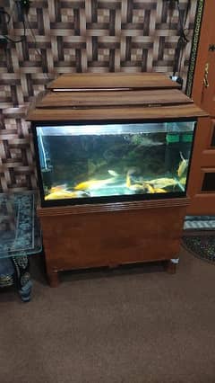 Aquarium sale with complete Step up