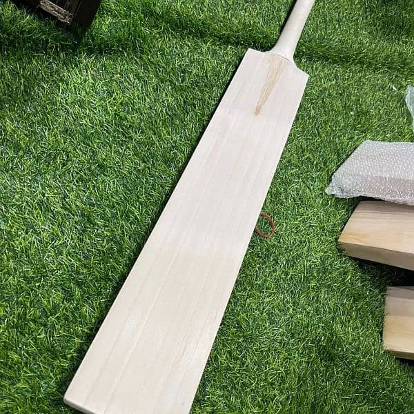 CUSTOMIZED CRICKET BATS 2