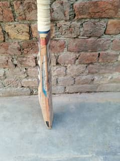 hard ball bat