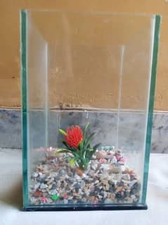 Mini Aquarium with Air pump for sale