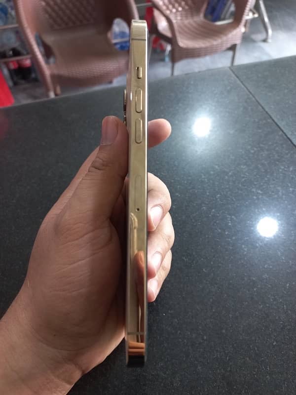 Iphone 12 pro max PTA approved 2