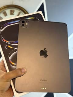 Ipad pro m4 256 gb