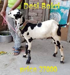 Desi Bakri