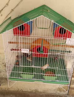 3 breeder pair finches f. s and 1 extra male with cage and 3 boxex